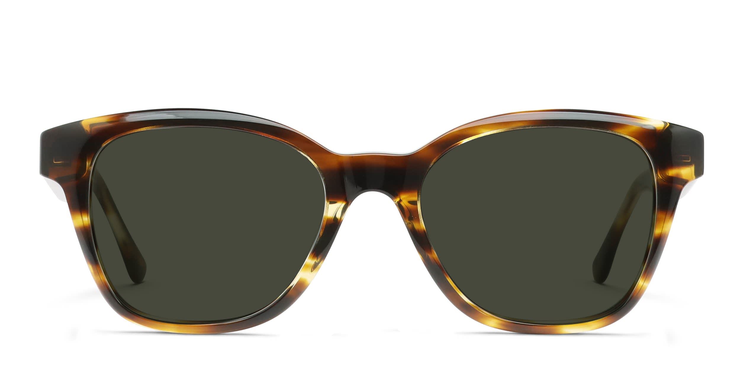 Muse Shyla Brown, Tortoise glasses - Brown / Tortoise - Frontal View