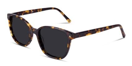 Muse Hopper Tortoise glasses - Tortoise - Angle View