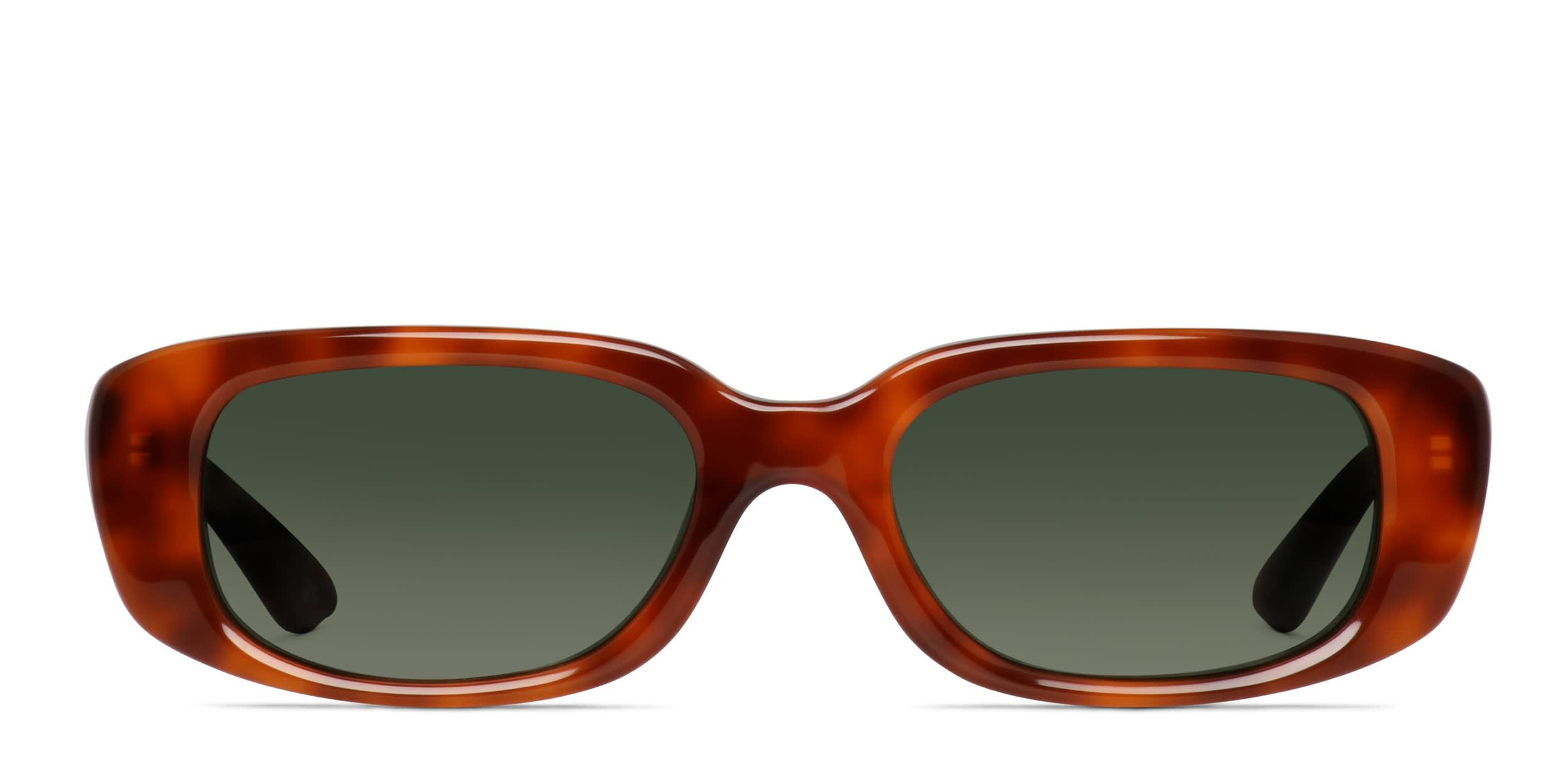 Amelia E. Hadlee Tortoise glasses - Tortoise - Frontal View