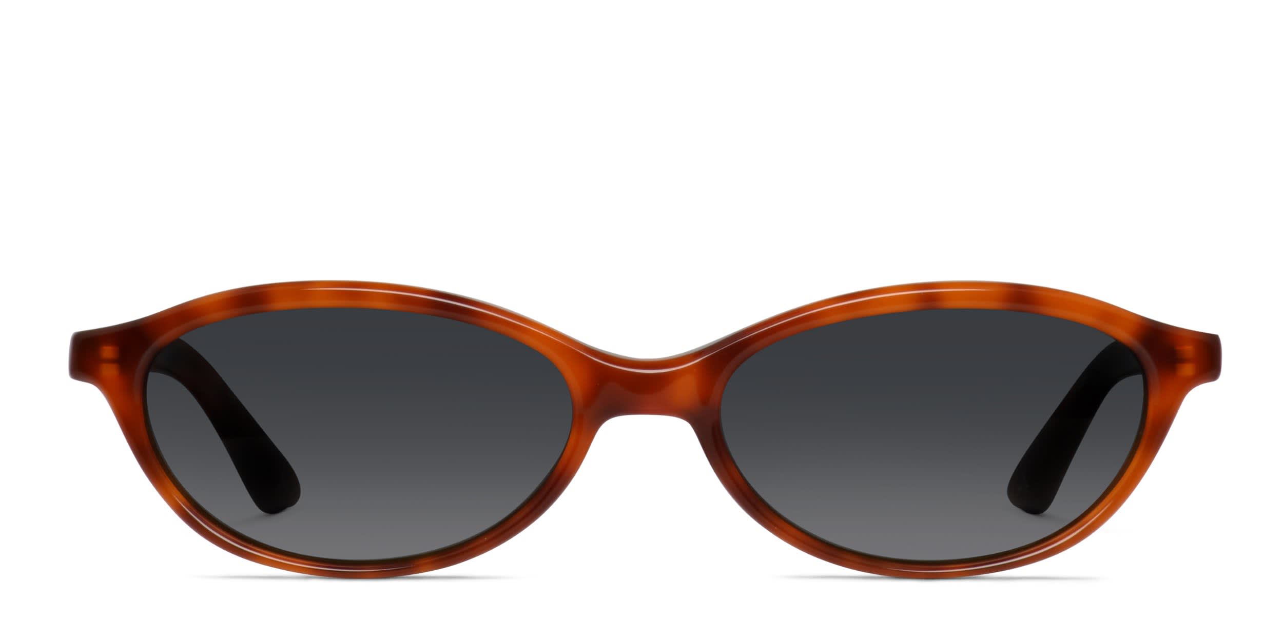 Amelia E. Luella Tortoise glasses - Tortoise - Frontal View