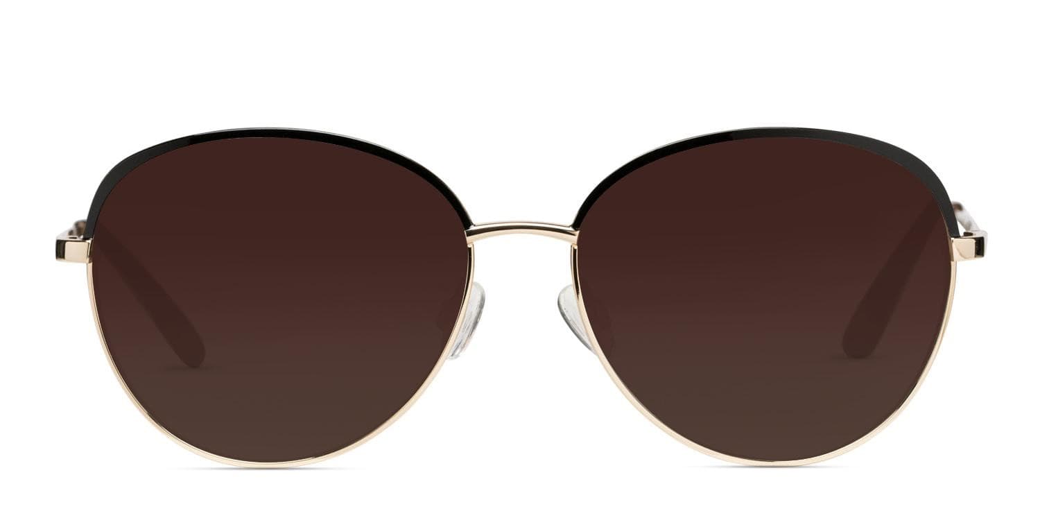 Amelia E. Cary Black/Gold glasses - Black / Gold - Frontal View