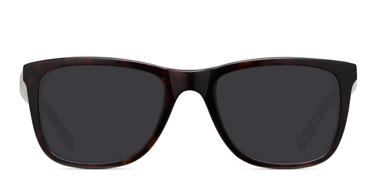 Muse M8014 Brown/Tortoise glasses - Brown / Tortoise - Frontal View