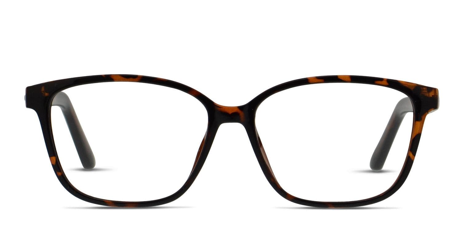 Amelia E. Pam Tortoise glasses - Tortoise - Frontal View