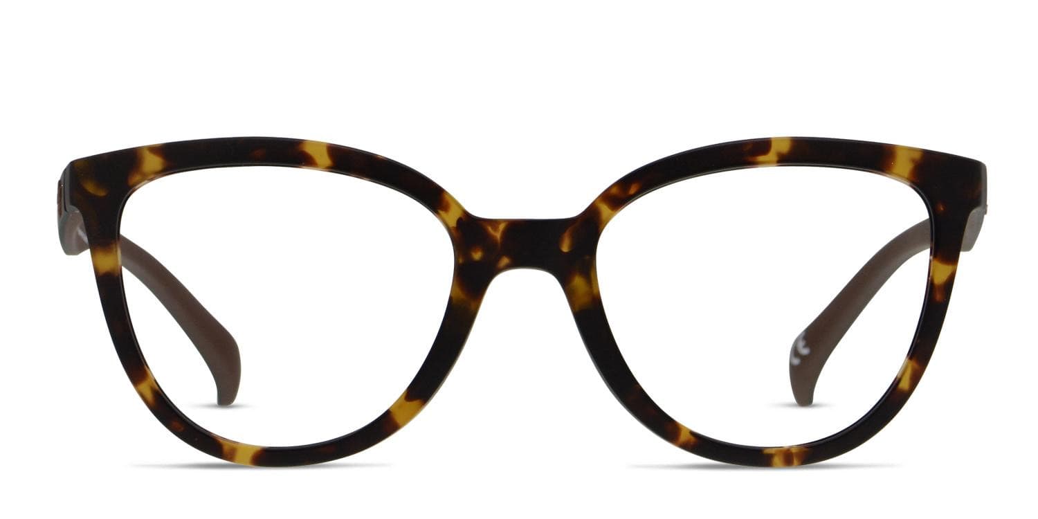 Adidas AOR006O Tortoise/Black/Brown glasses - Tortoise / Black / Brown - Frontal View
