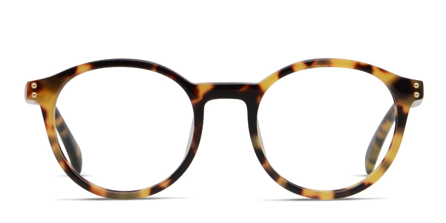 Moschino MOS502 Tortoise/Yellow glasses - Tortoise / Yellow - Frontal View
