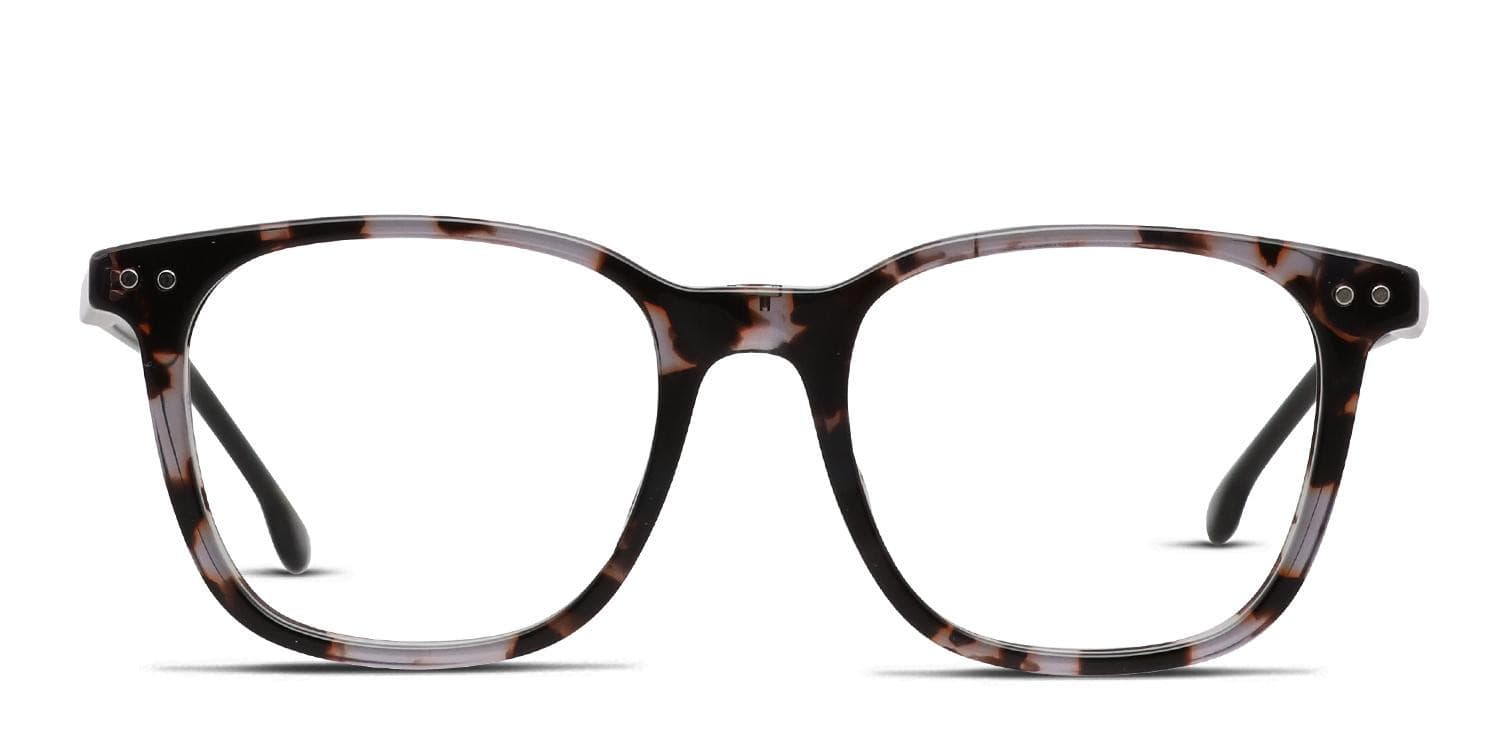 Carrera 2023T/C Gray/Tortoise w/Clip-On Prescription Eyeglasses