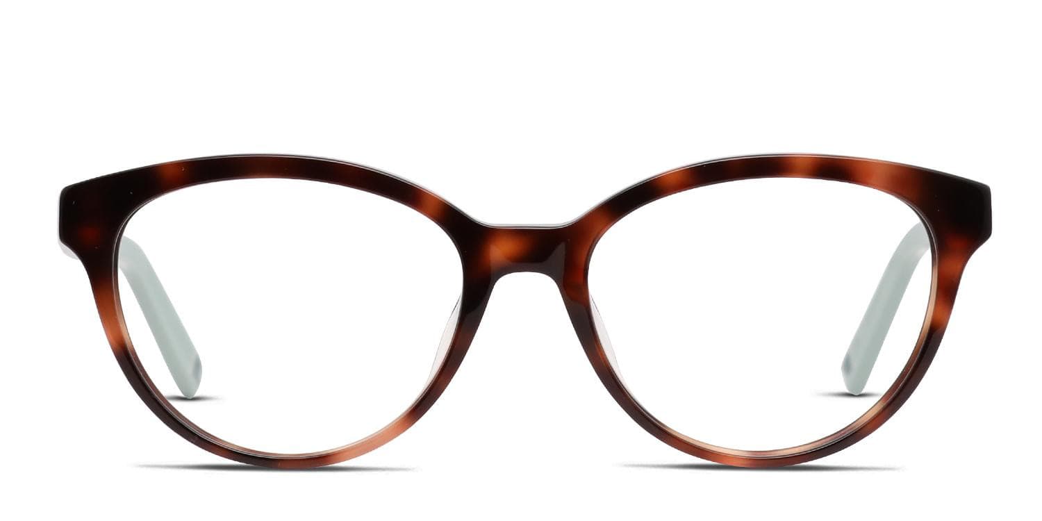 FILA VFI092 Tortoise glasses - Tortoise / Blue - Frontal View
