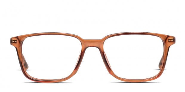 Carrera 213 Brown Eyeglasses Includes FREE Rx Lenses