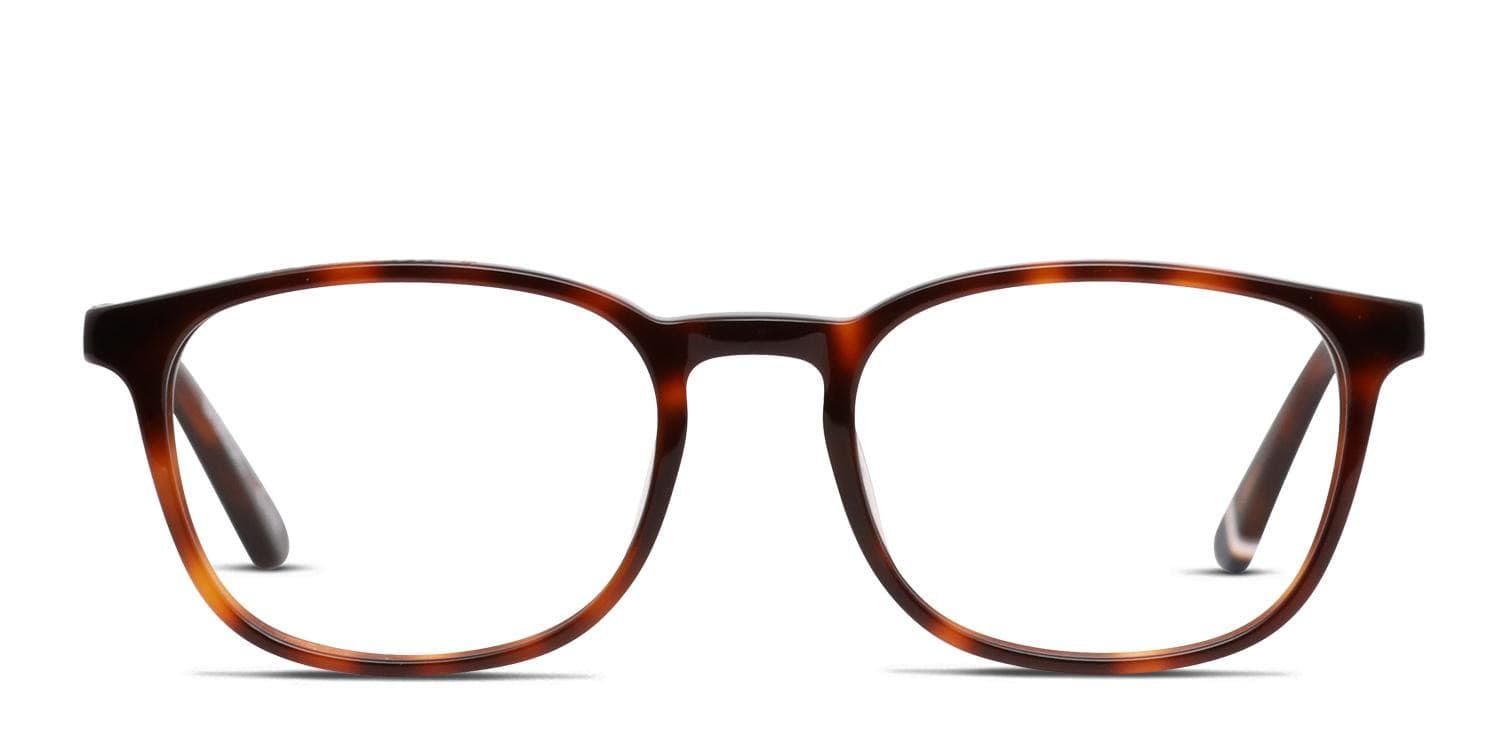 Superdry SDO-Bretton Tortoise glasses - Tortoise - Frontal View