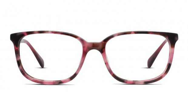 Kate spade cheap natalia glasses