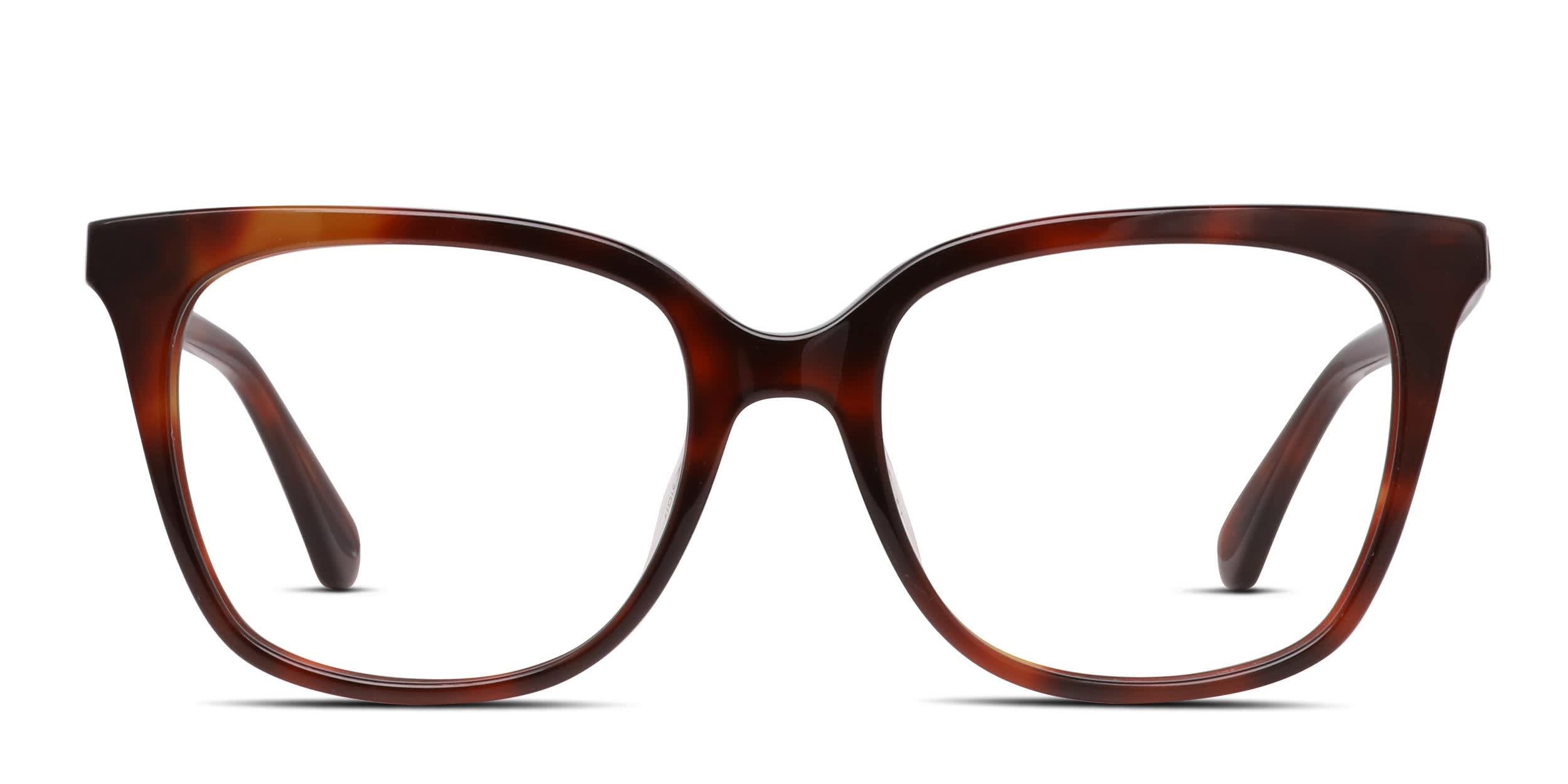 Kate Spade Alessandria Brown, Tortoise glasses - Brown / Tortoise - Frontal View