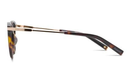 Polaroid PLD D352 Tortoise glasses - Tortoise - Side View