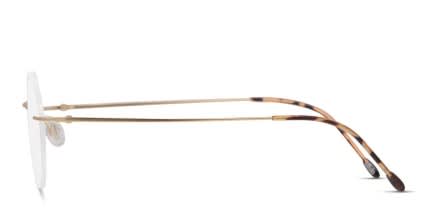 Smith Gold glasses - Gold - Side View