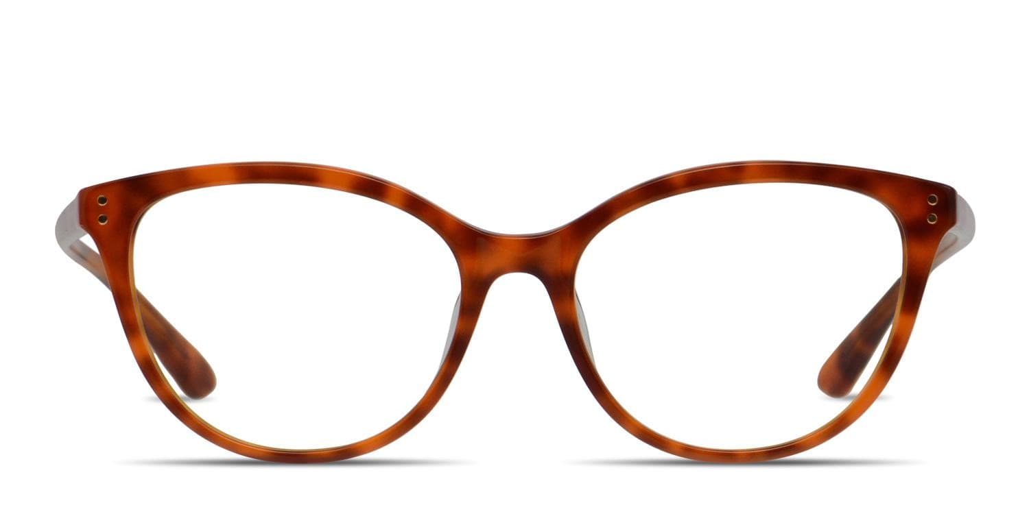 Amelia E. Kelly Tortoise glasses - Tortoise - Frontal View