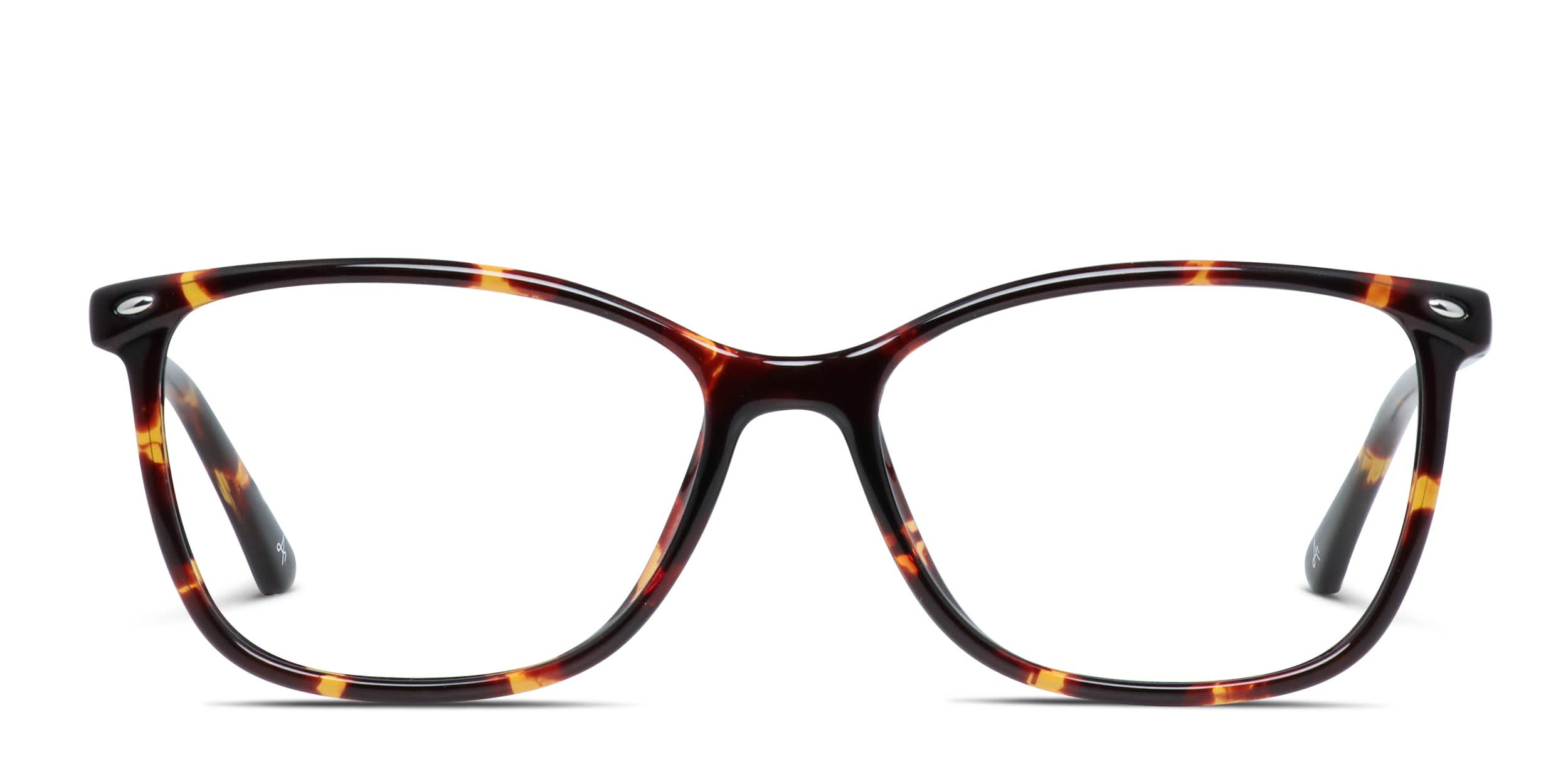 Amelia E. Nettle Tortoise glasses - Tortoise - Frontal View