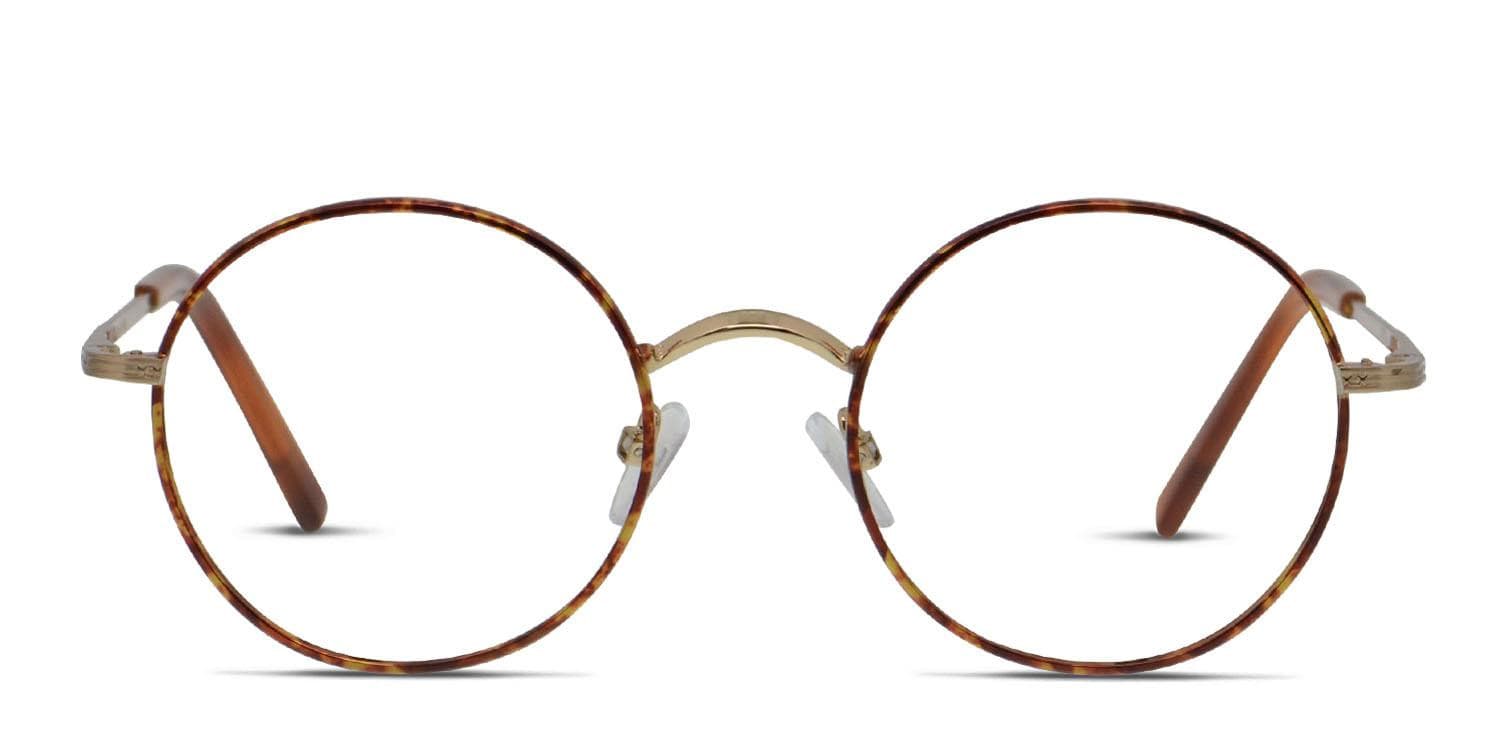 Ottoto Professor Tortoise, Gold glasses - Orange / Tortoise / Gold - Frontal View