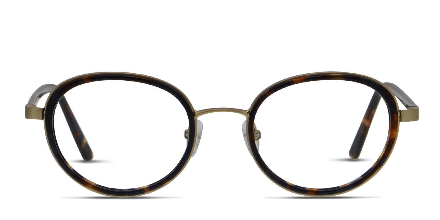 Ottoto Donato Tortoise w/Gold Eyeglasses | Includes FREE Rx Lenses