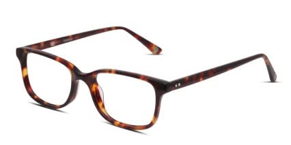 Muse Arizona Tortoise glasses - Tortoise - Angle View