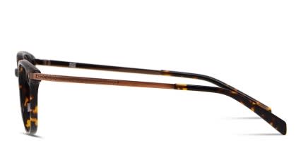 Muse Stoudemire Tortoise/Bronze glasses - Tortoise / Bronze - Side View