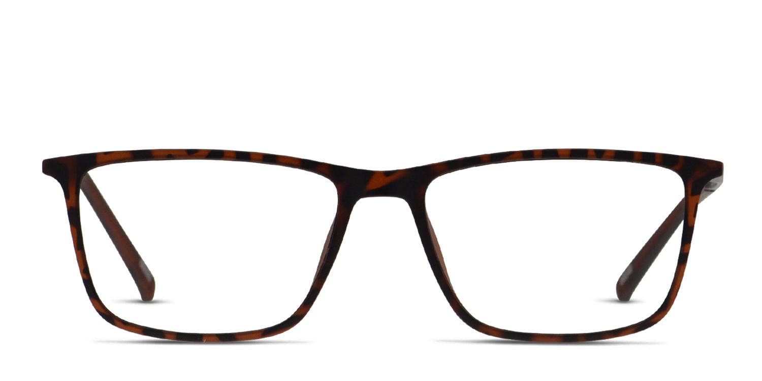 Ottoto Octavio Tortoise Eyeglasses | Includes FREE Rx Lenses