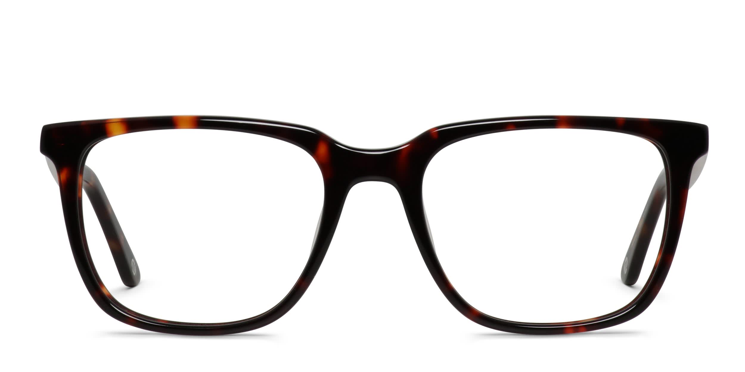 Muse Jojo Tortoise glasses - Tortoise - Frontal View
