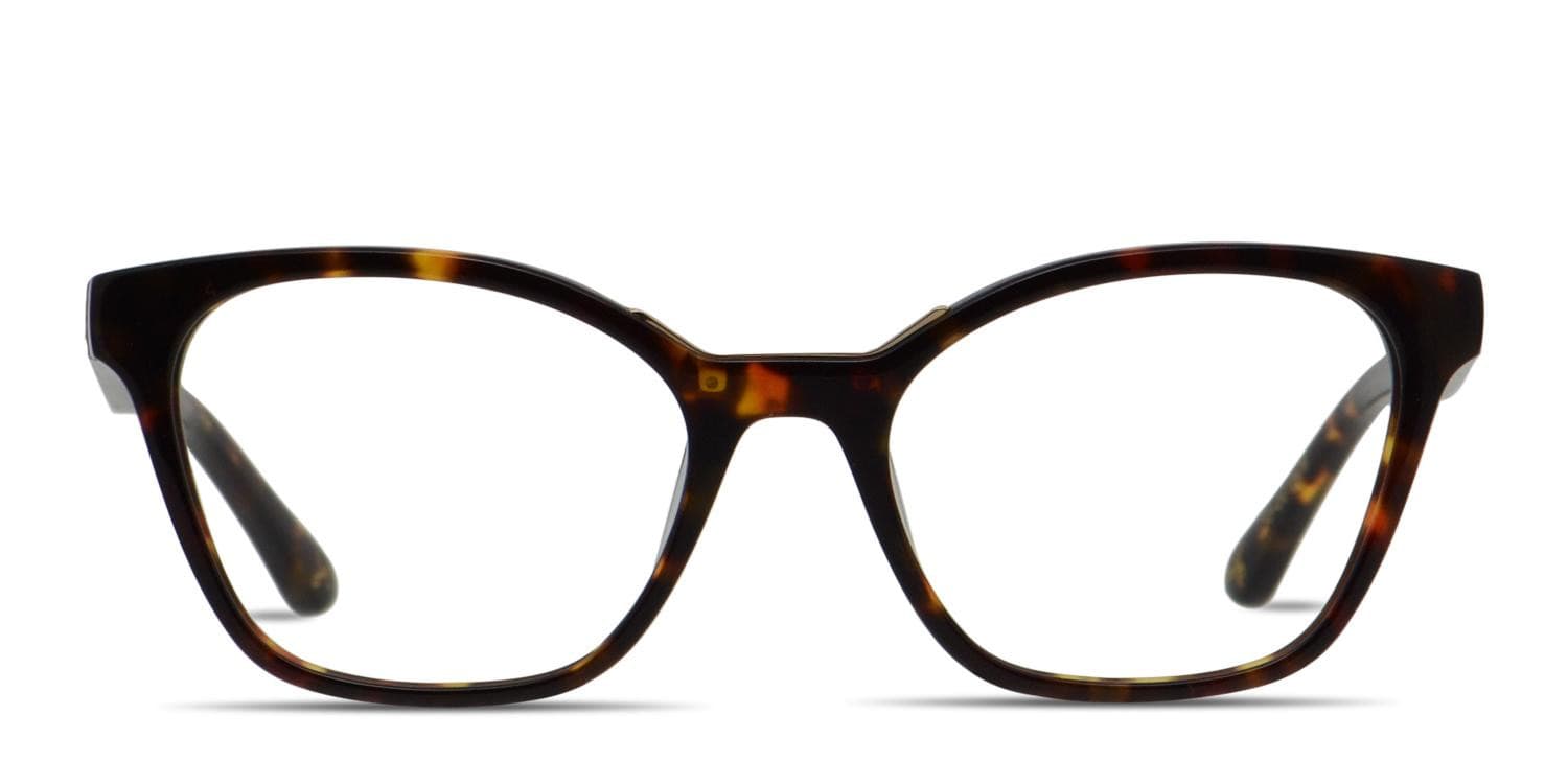Amelia E. Elara Tortoise, Gold glasses - Tortoise / Gold - Frontal View