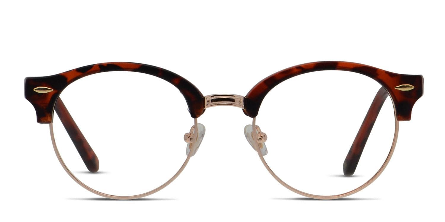 Muse Brookline Tortoise, Gold glasses - Tortoise / Gold - Frontal View