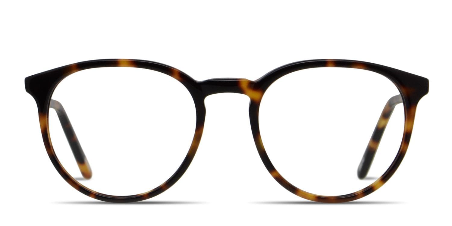 Ottoto Piero Brown, Tortoise glasses - Brown / Tortoise - Frontal View