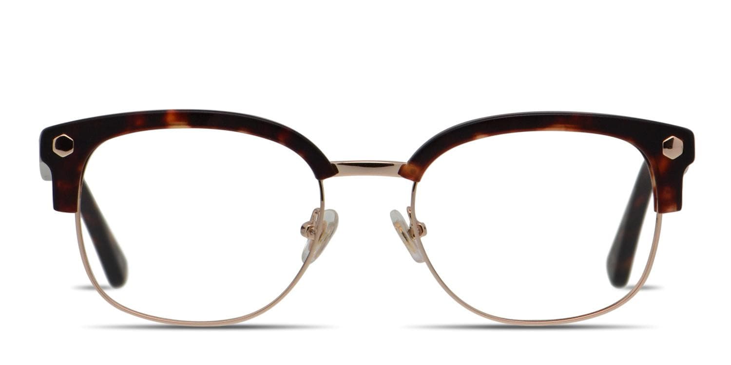 Muse Elliot Tortoise, Gold glasses - Tortoise / Gold - Frontal View