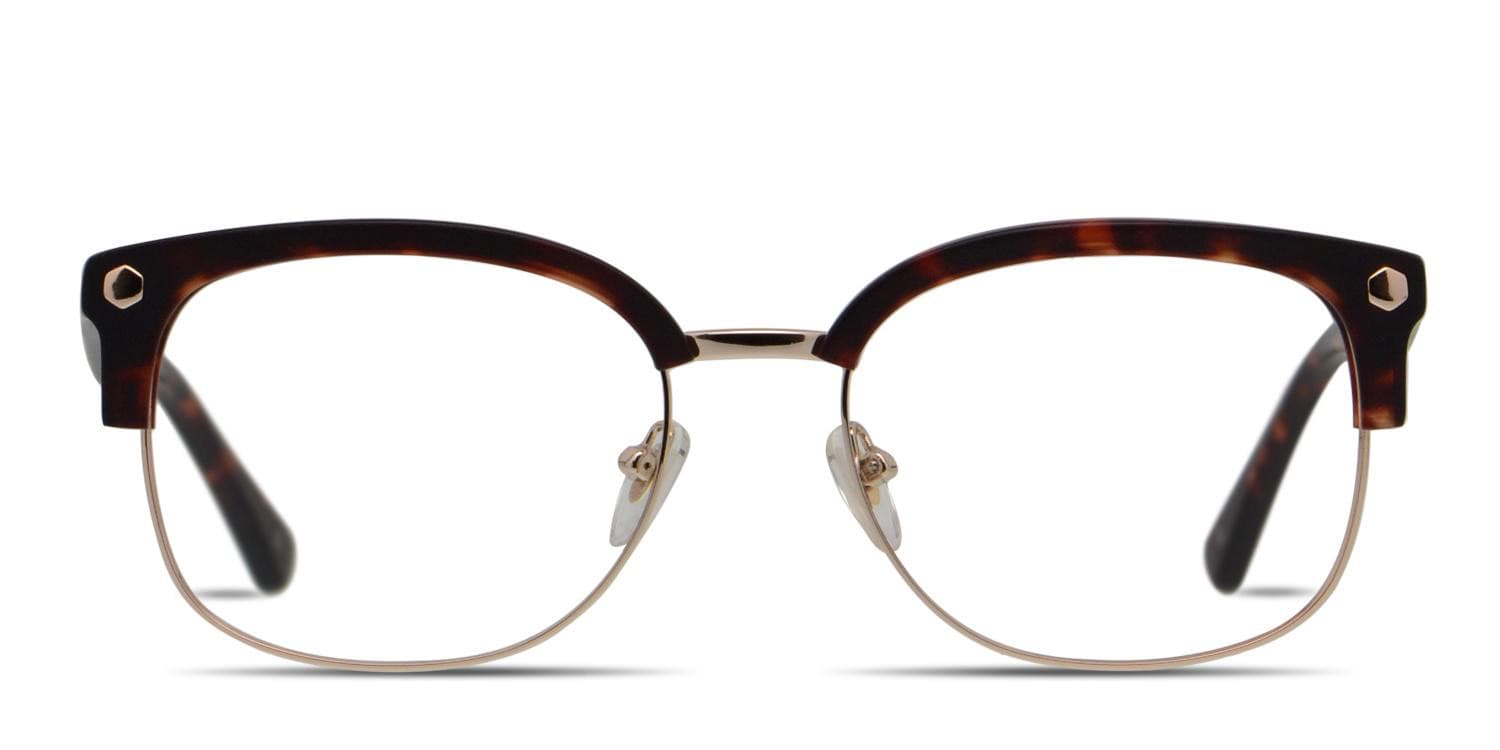 Muse Elliot Tortoise, Gold glasses - Tortoise / Gold - Frontal View