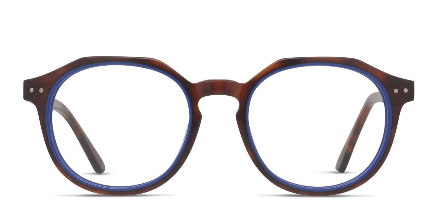 Muse Apex Tortoise, Blue glasses - Tortoise / Blue - Frontal View