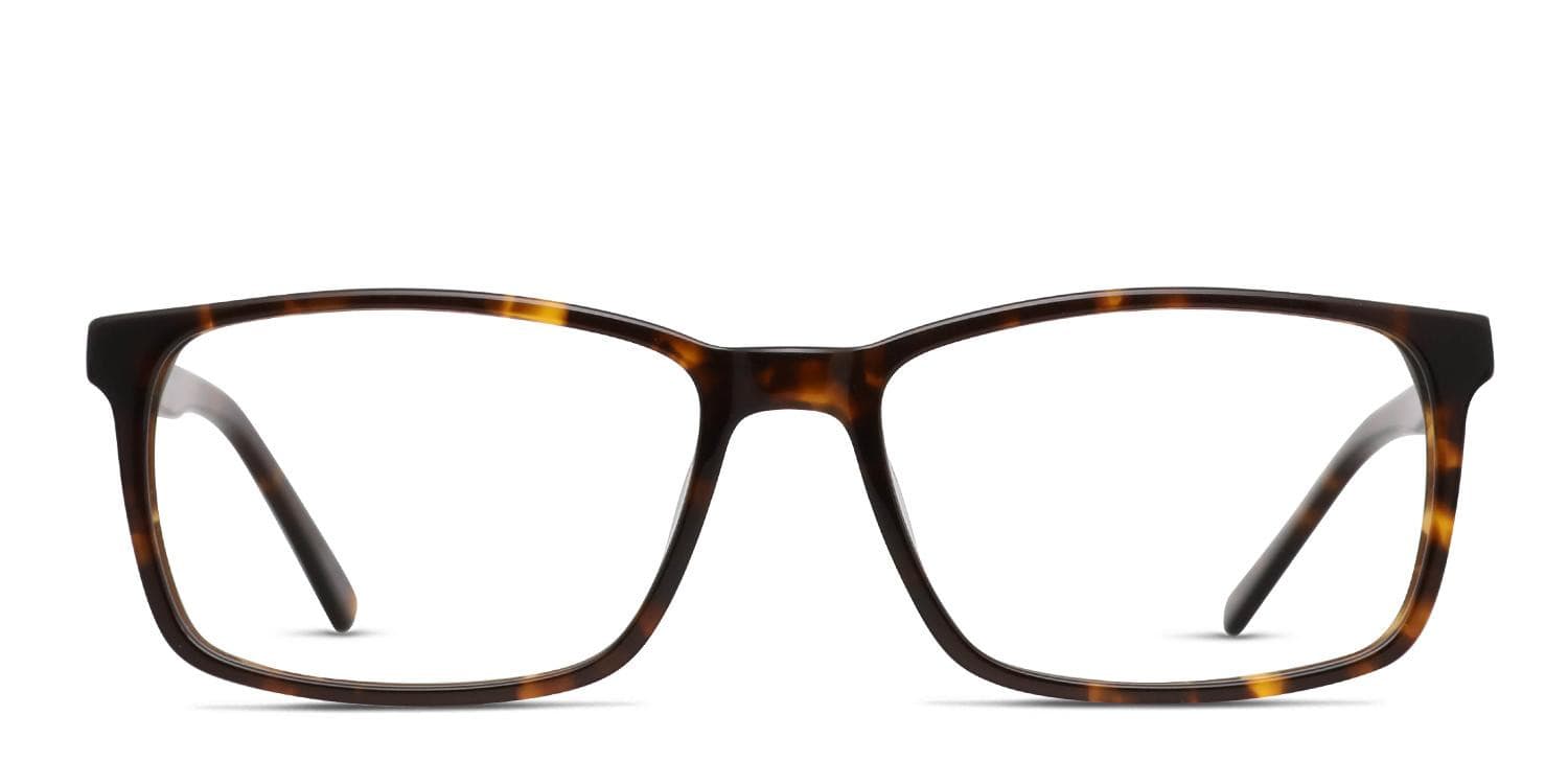 Ayo Tortoise glasses - Tortoise - Frontal View