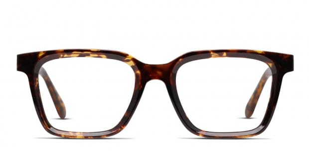Vision express cheap clip on sunglasses