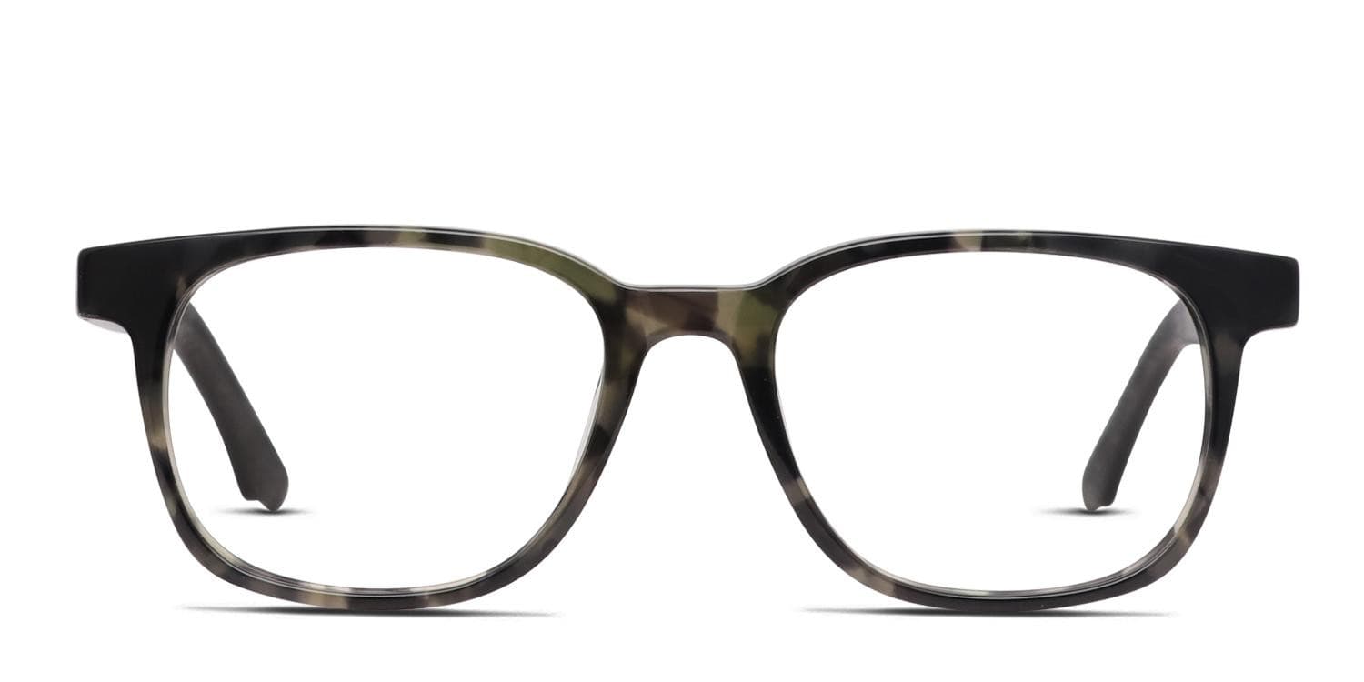 The Western Pond Tortoise, Green, Black glasses - Tortoise / Green / Black - Frontal View