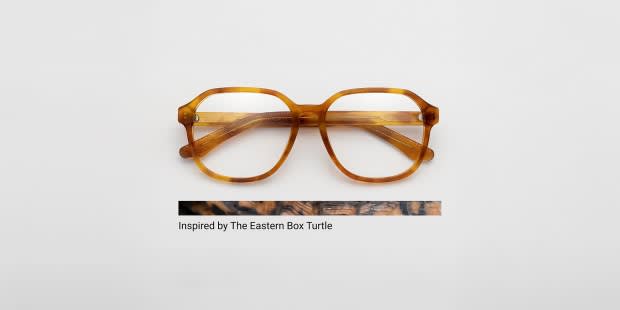 The Box Tortoise