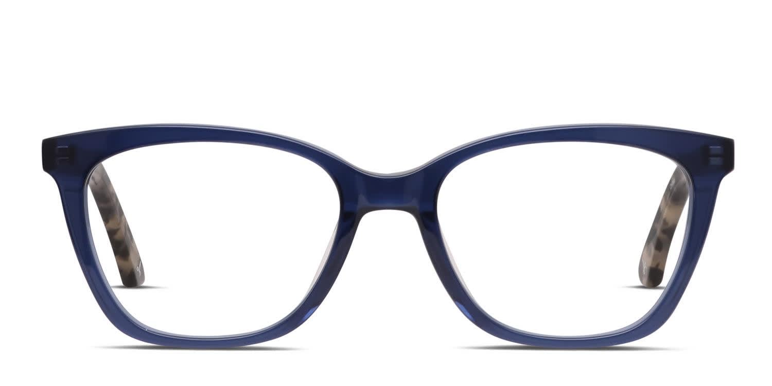 Aimée glas gray wool blue fox broad Grey Blue Fox RF33 Taxidermy