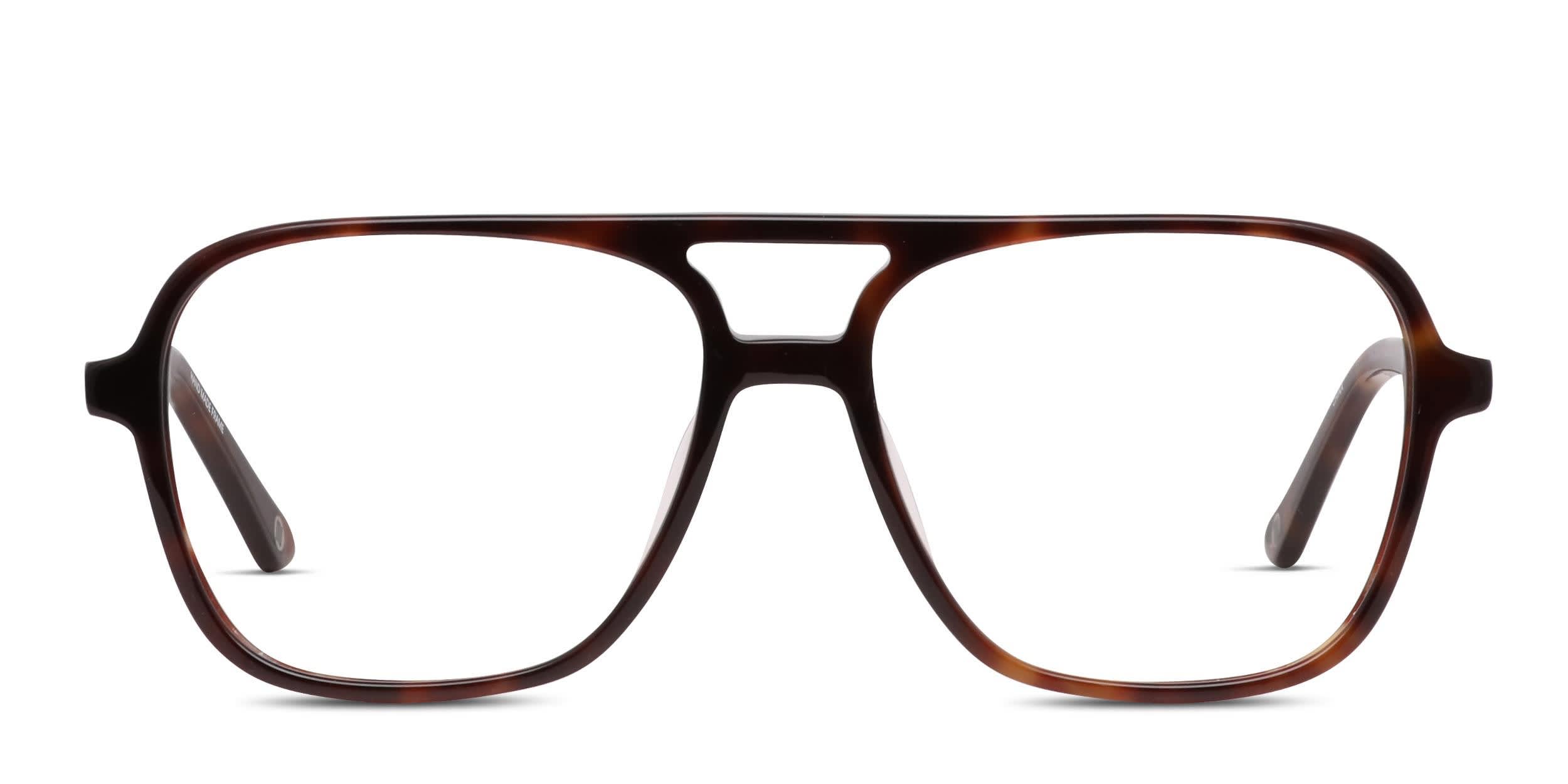 Muse Auster Tortoise glasses - Tortoise - Frontal View
