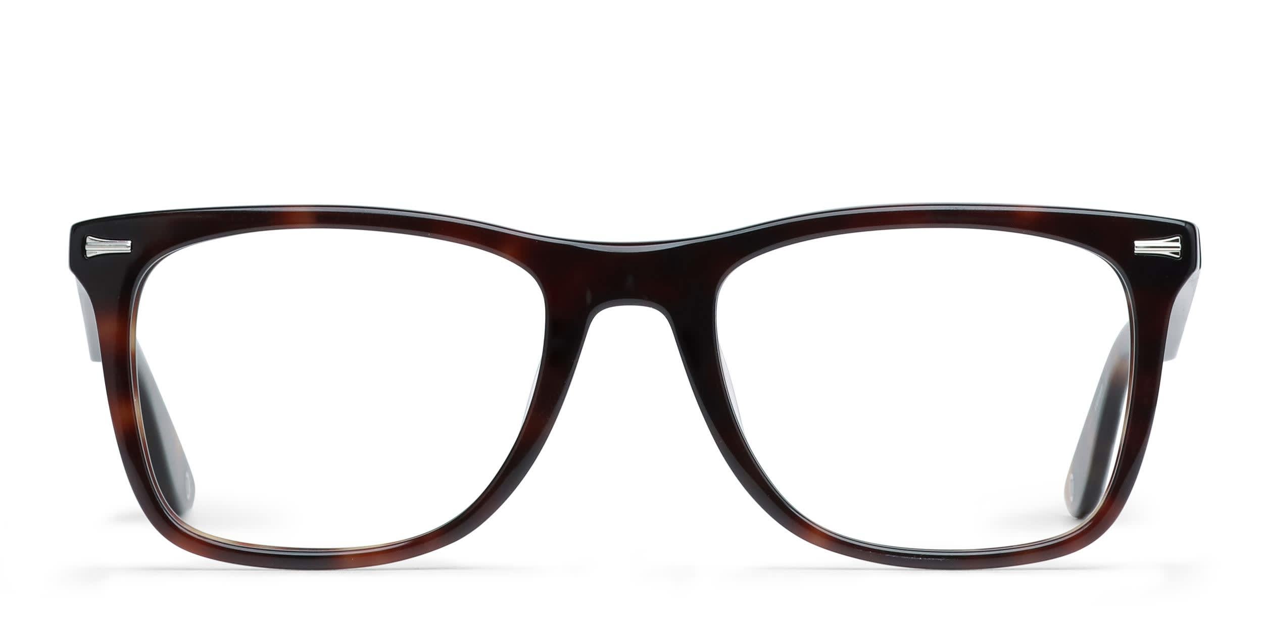 Muse Gilford Brown, Tortoise glasses - Brown / Tortoise - Frontal View