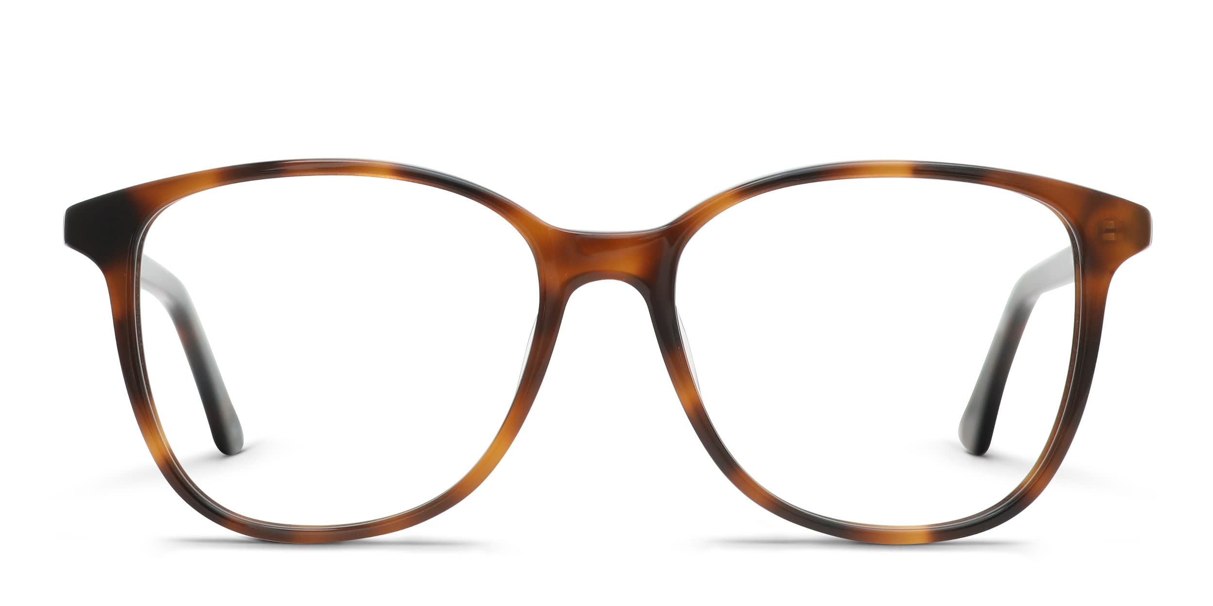 Amelia E. Barbara Brown, Tortoise glasses - Brown / Tortoise - Frontal View