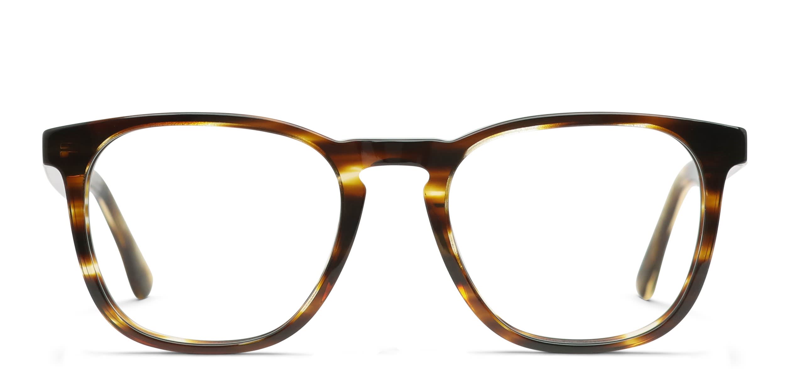 Muse Groove Brown, Tortoise glasses - Brown / Tortoise - Frontal View