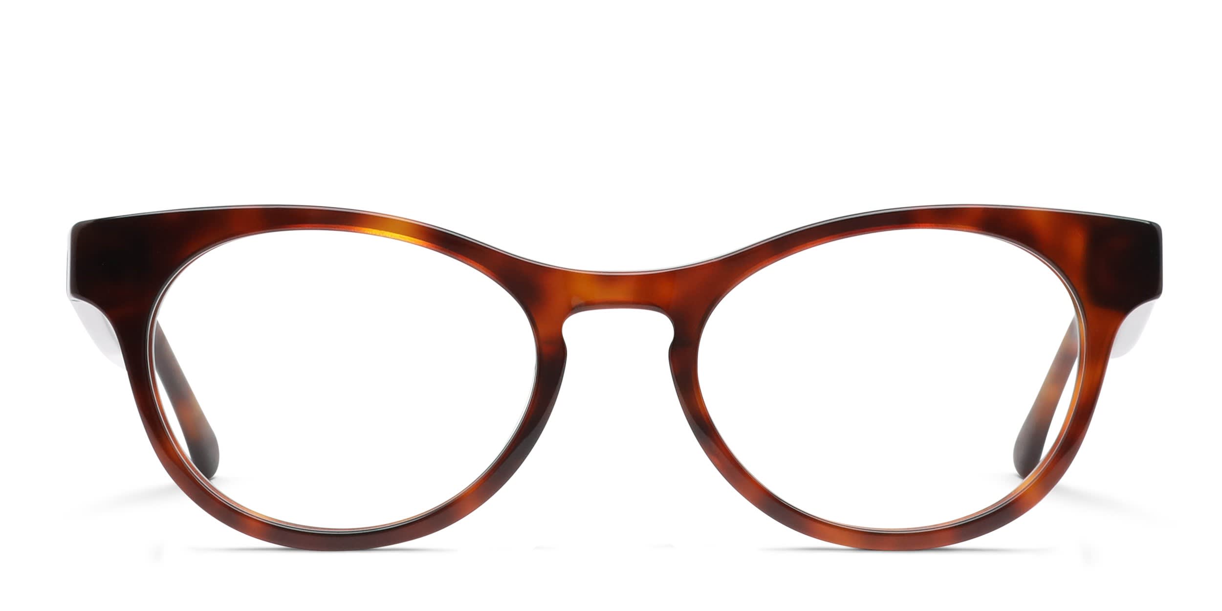 Muse Purrfect Tortoise glasses - Tortoise - Frontal View