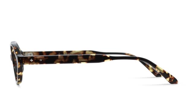 Amelia E. Robbie Tortoise