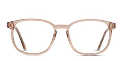 Muse x Transitions Campbell