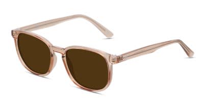 Muse x Transitions Campbell