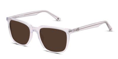 Muse x Transitions Jojo