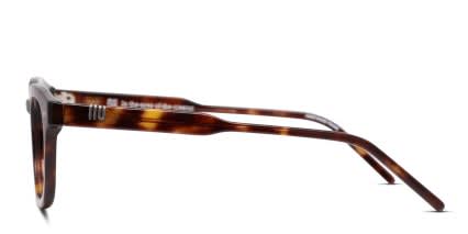 Muse x Transitions Mitchum Brown, Tortoise glasses - Brown / Tortoise - Side View