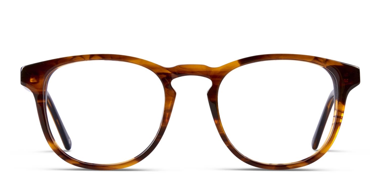 Muse x Transitions Brenner Tortoise, Gray Prescription Eyeglasses