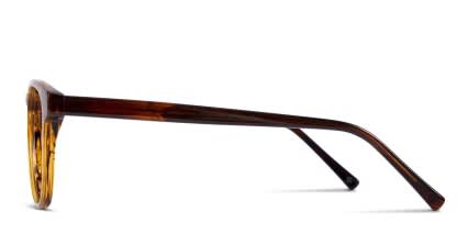 Muse x Transitions Brenner Tortoise, Gray glasses - Tortoise / Gray - Side View