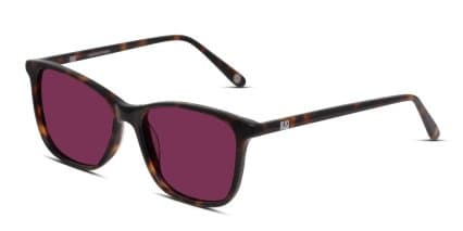 Muse x Transitions Nancy Brown, Tortoise glasses - Brown / Tortoise - Angle View