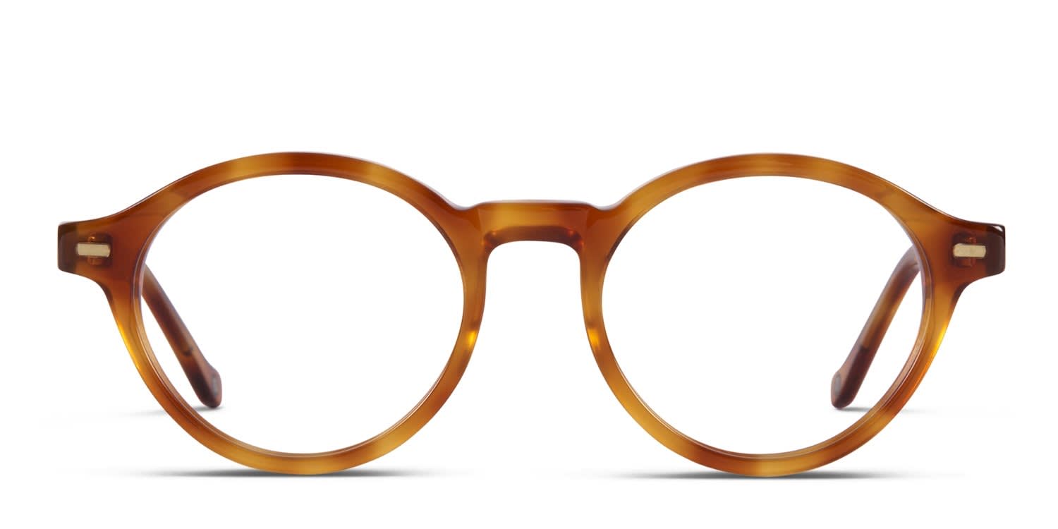 Muse x Transitions M Round Tortoise glasses - Tortoise - Frontal View